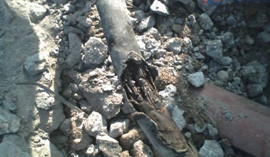 clip_image002.jpg